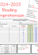 Reading Fluency and Comprehension Progress